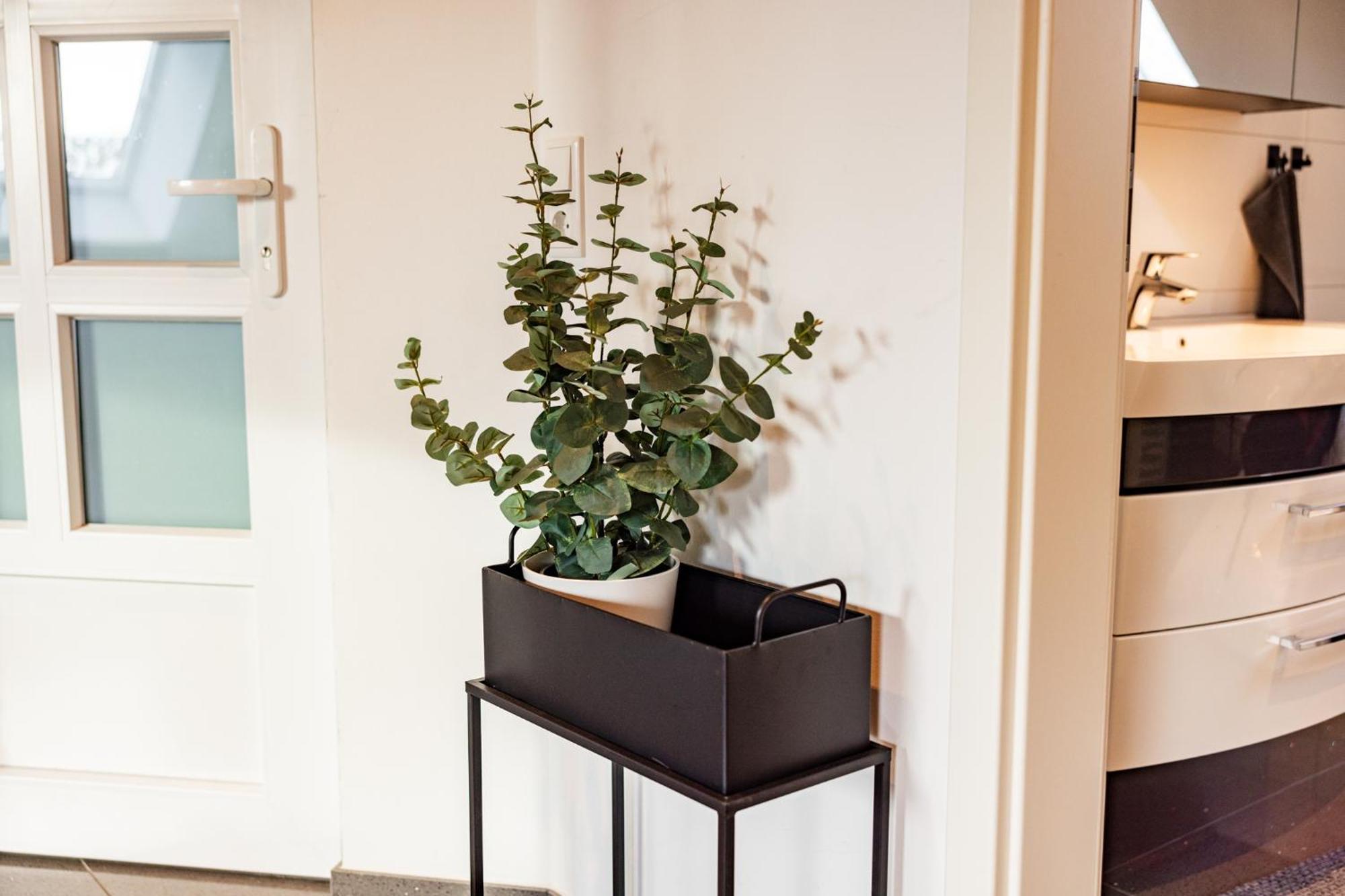 Exklusive Apartments In Kieler City Экстерьер фото